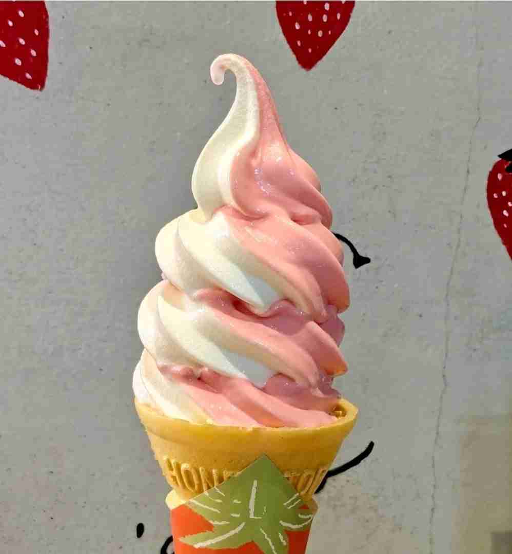 真冬だけどソフトクリーム&ジェラートを語ろう