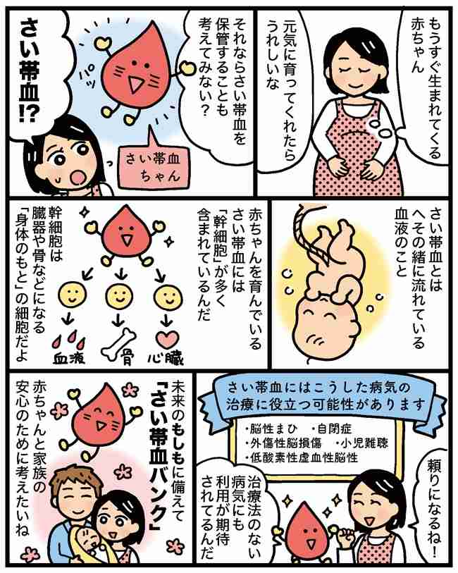 さい帯血の保管してますか?