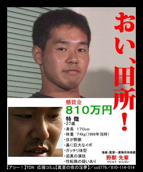 ネットミームについて語ろう。