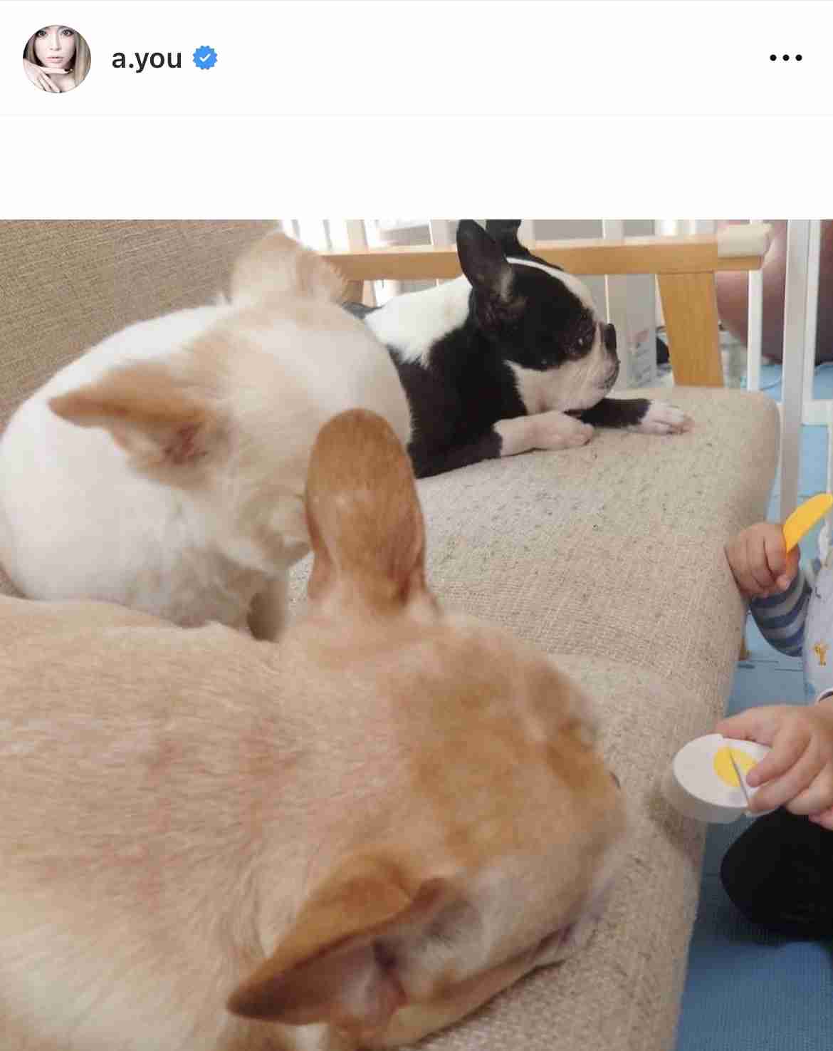 ネタも可 人にたかる人をうまくかわすワザ