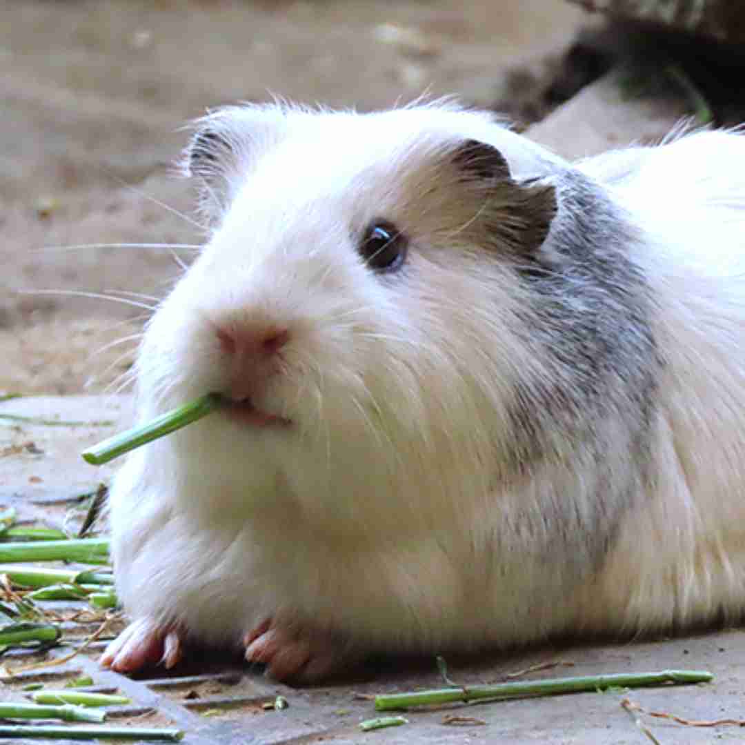 がるちゃんでのモットーはありますか？