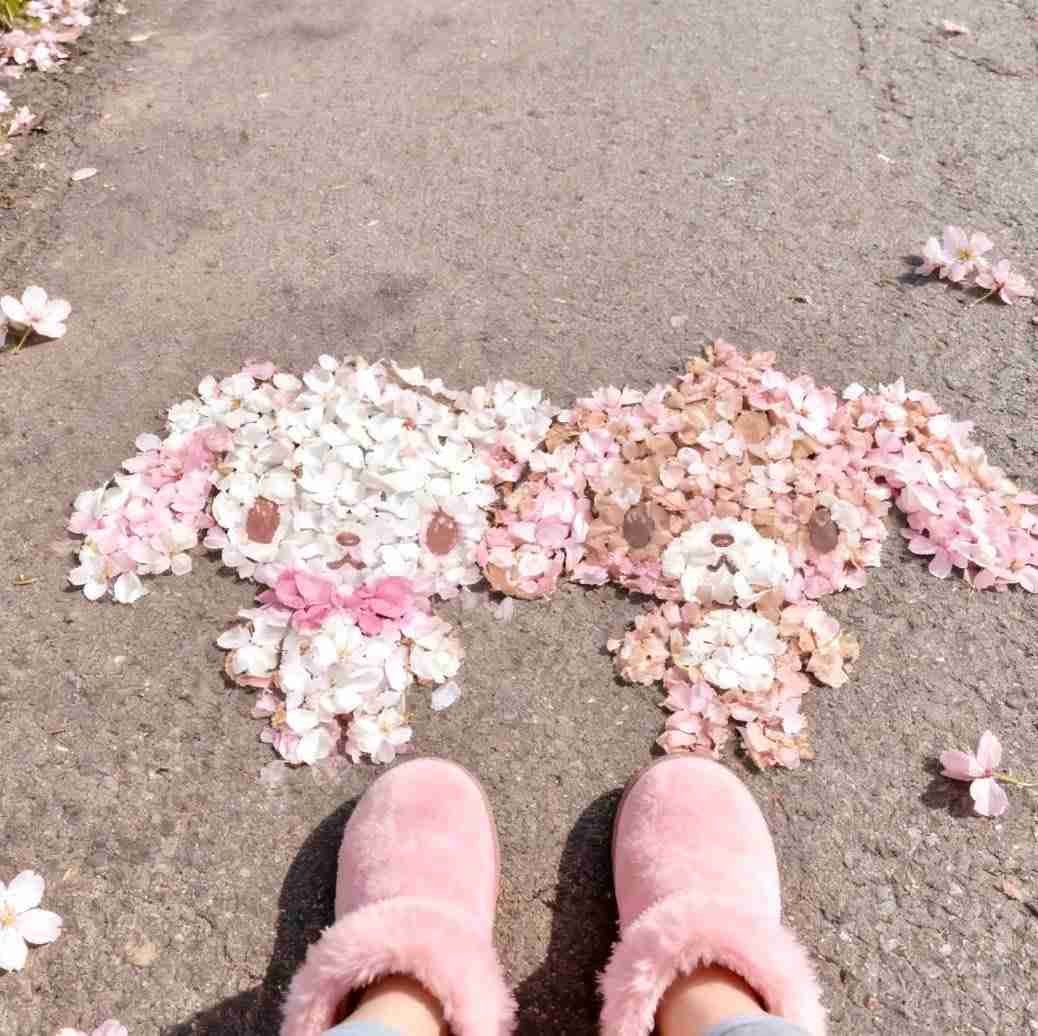 🩷ピンク好きな人集合～🩷