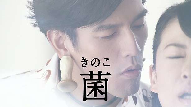 きのこ類の中で