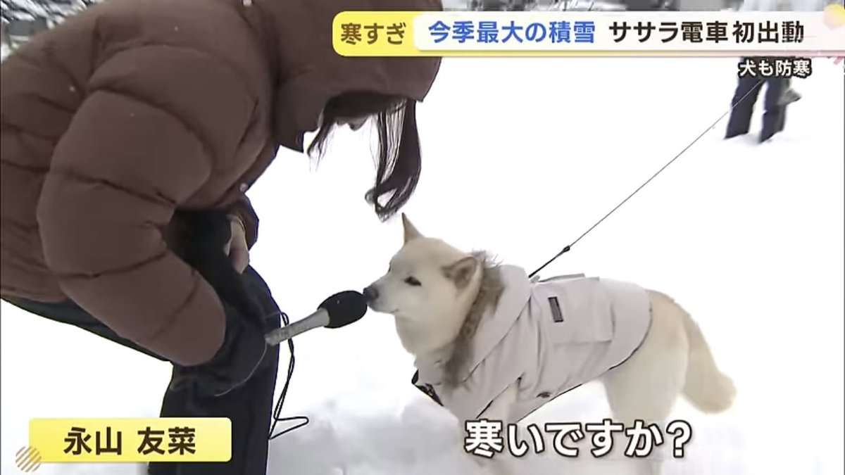  雪の降らない地域に住む人が雪が降る地域の人に質問するトピ