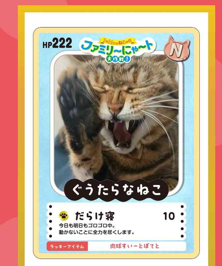 がるちゃん猫カフェ119号店開店しました♪(初めての方も大歓迎♪)