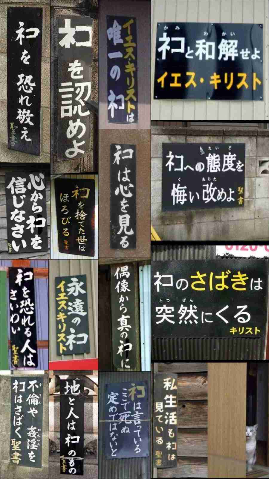 がるちゃん猫カフェ119号店開店しました♪(初めての方も大歓迎♪)