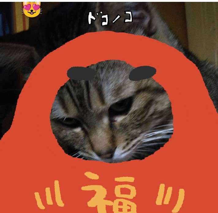 がるちゃん猫カフェ119号店開店しました♪(初めての方も大歓迎♪)