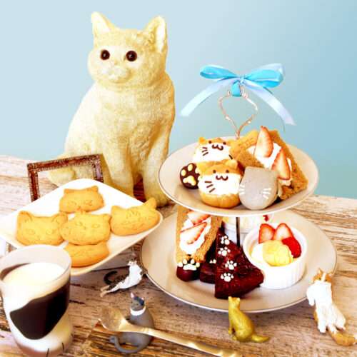 がるちゃん猫カフェ119号店開店しました♪(初めての方も大歓迎♪)