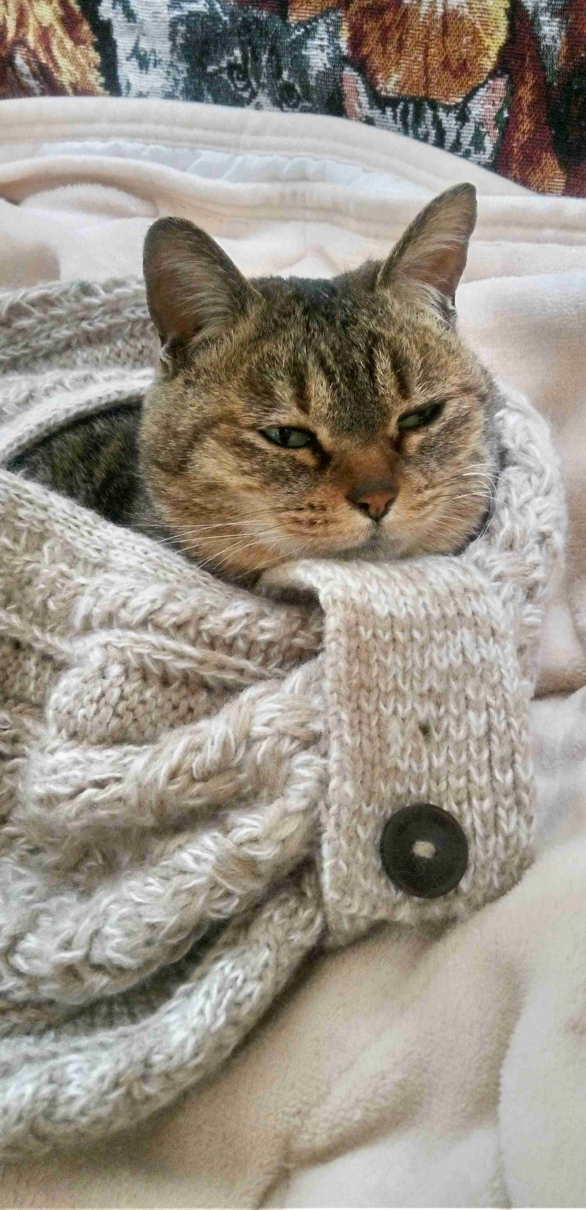 がるちゃん猫カフェ119号店開店しました♪(初めての方も大歓迎♪)