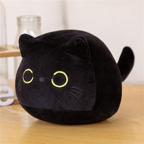 がるちゃん猫カフェ119号店開店しました♪(初めての方も大歓迎♪)