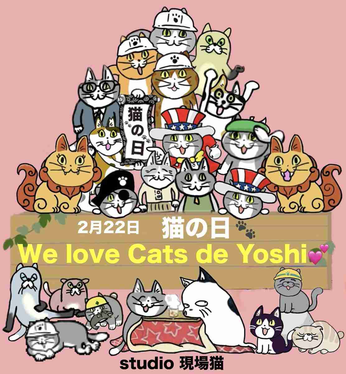がるちゃん猫カフェ119号店開店しました♪(初めての方も大歓迎♪)