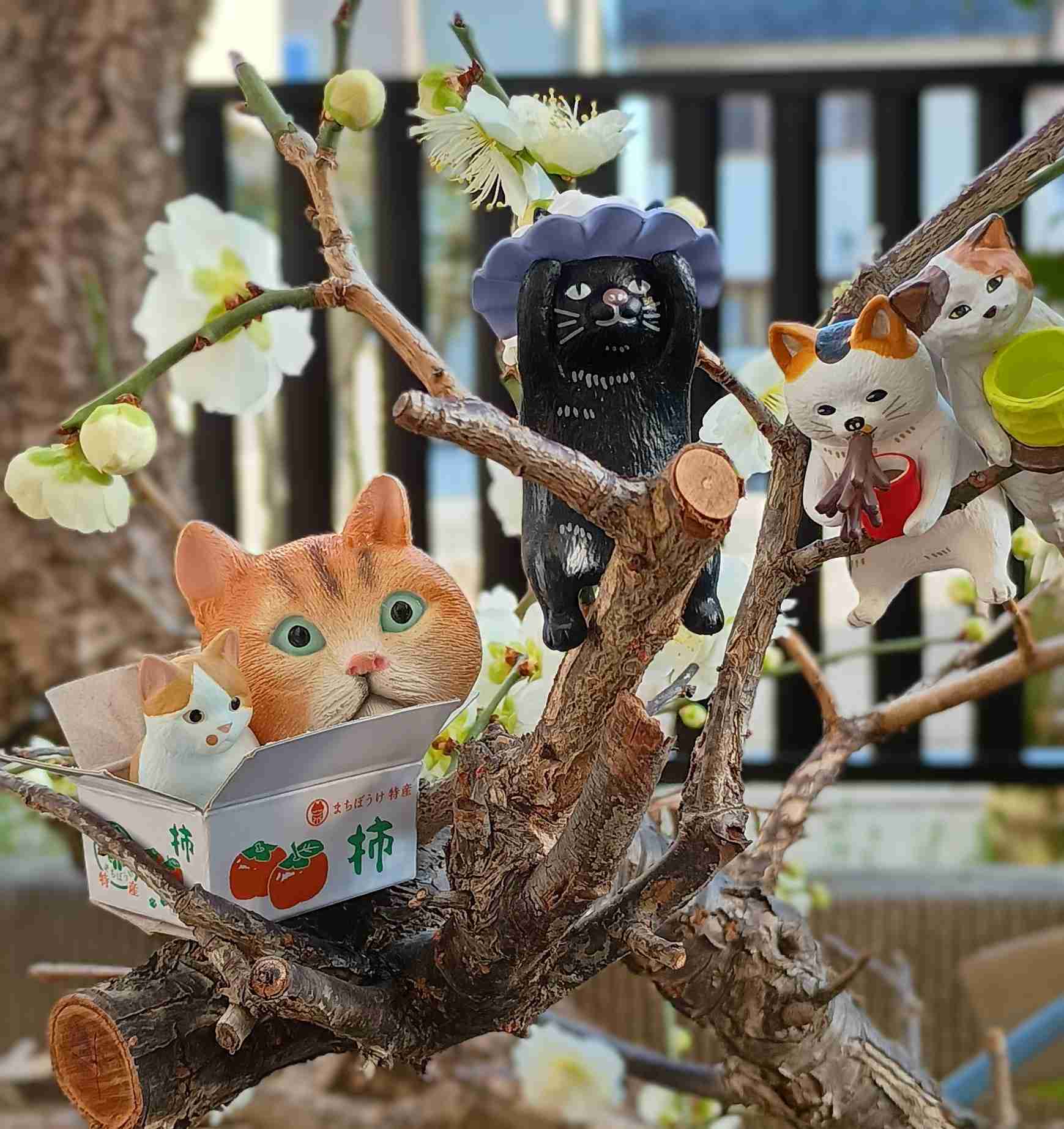 がるちゃん猫カフェ119号店開店しました♪(初めての方も大歓迎♪)