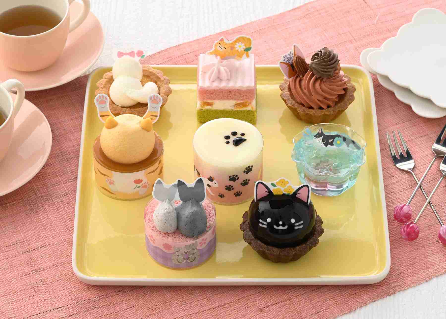 がるちゃん猫カフェ119号店開店しました♪(初めての方も大歓迎♪)