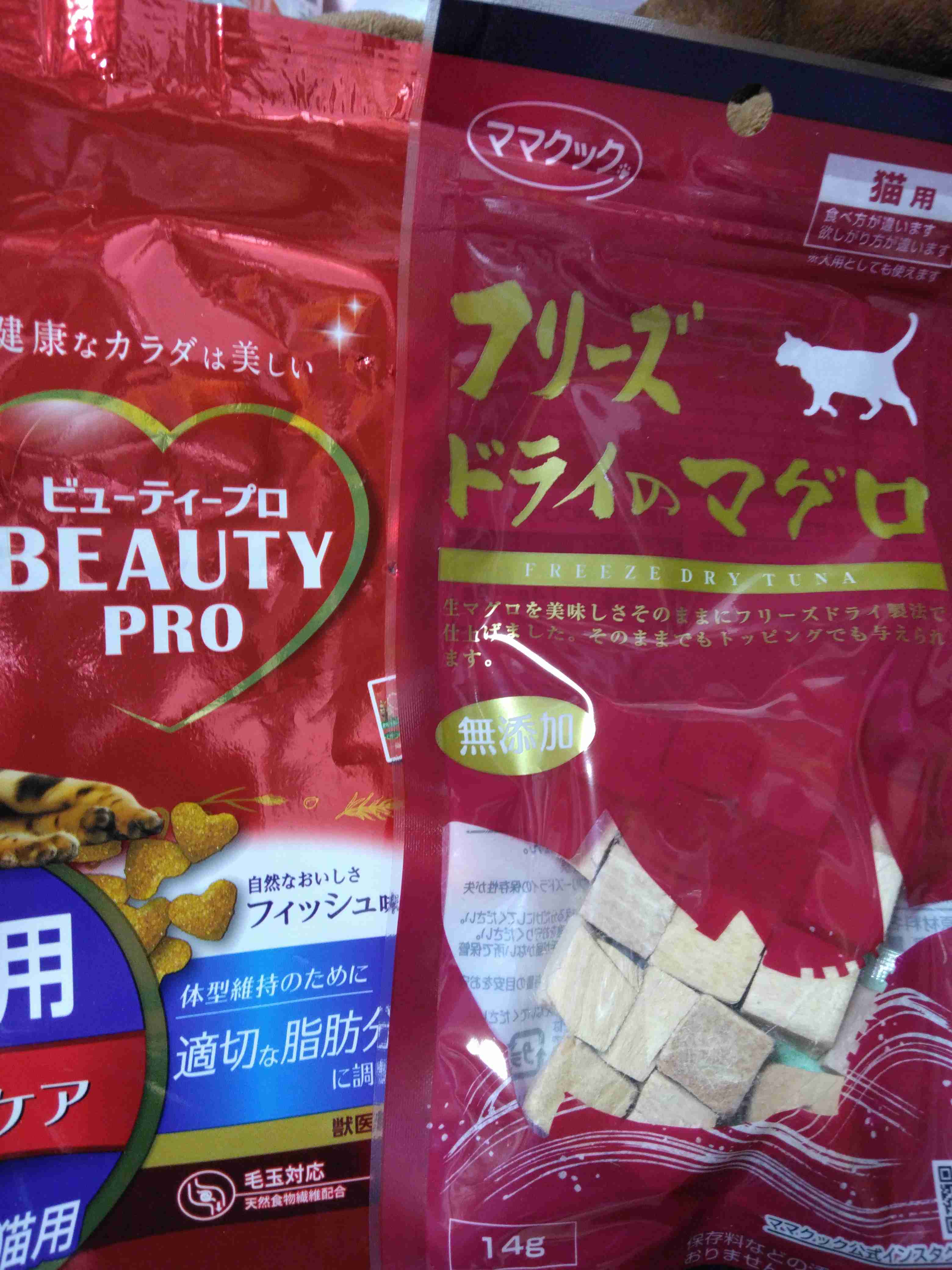 がるちゃん猫カフェ119号店開店しました♪(初めての方も大歓迎♪)