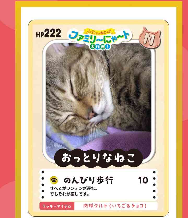 がるちゃん猫カフェ119号店開店しました♪(初めての方も大歓迎♪)