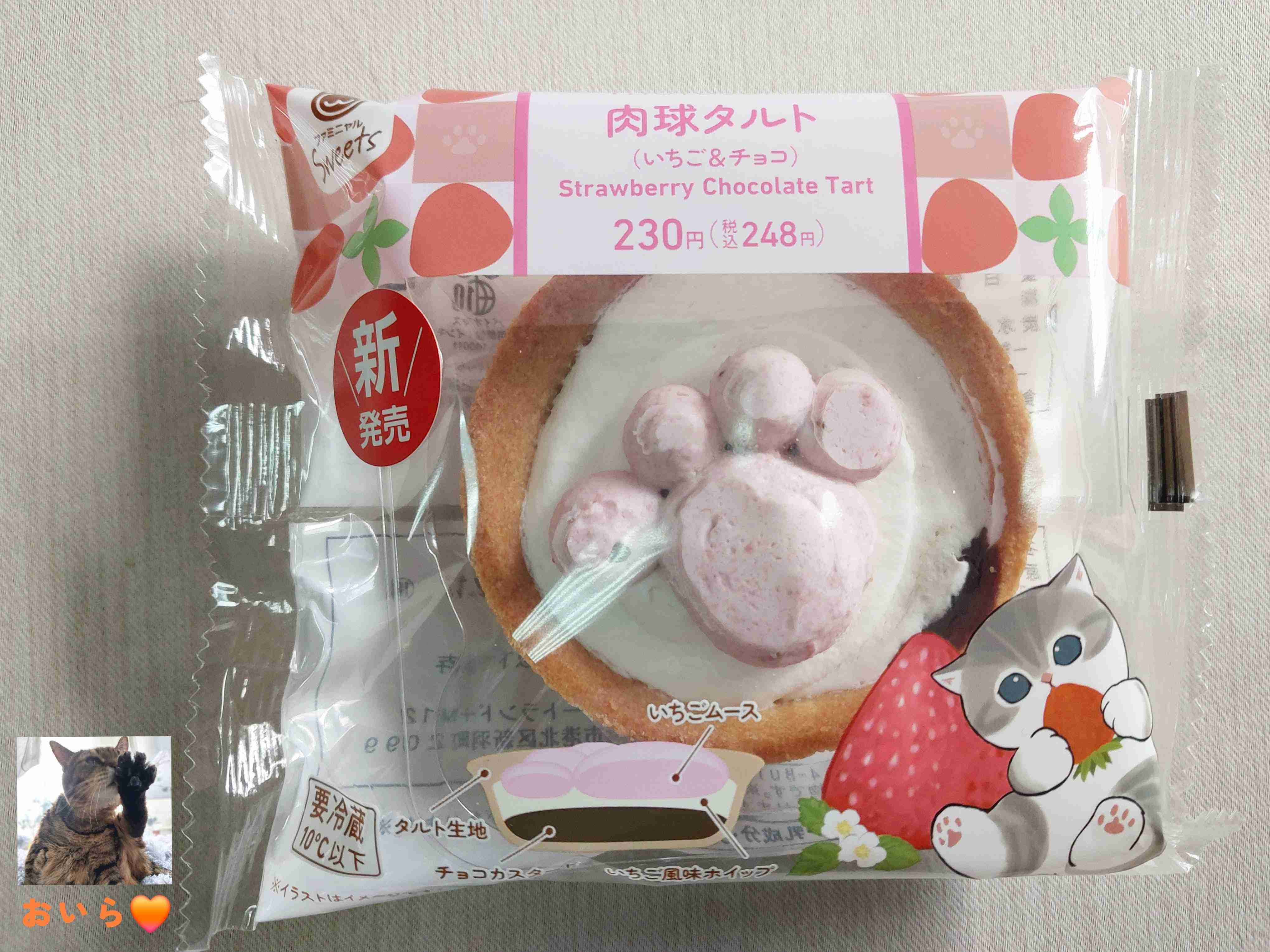 がるちゃん猫カフェ119号店開店しました♪(初めての方も大歓迎♪)