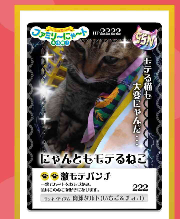 がるちゃん猫カフェ119号店開店しました♪(初めての方も大歓迎♪)