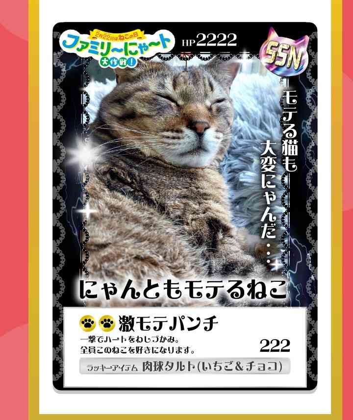 がるちゃん猫カフェ119号店開店しました♪(初めての方も大歓迎♪)