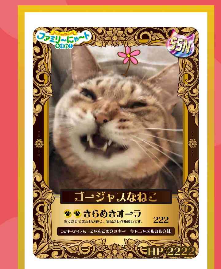 がるちゃん猫カフェ119号店開店しました♪(初めての方も大歓迎♪)