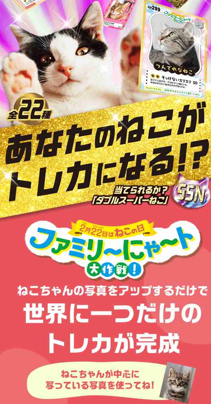 がるちゃん猫カフェ119号店開店しました♪(初めての方も大歓迎♪)