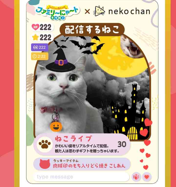 がるちゃん猫カフェ119号店開店しました♪(初めての方も大歓迎♪)