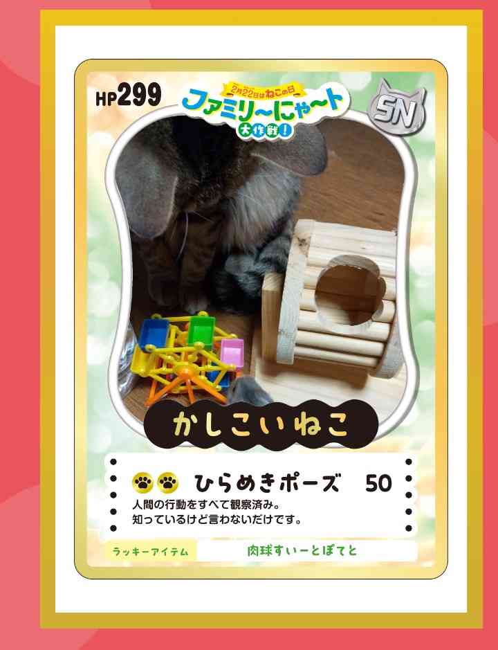 がるちゃん猫カフェ119号店開店しました♪(初めての方も大歓迎♪)