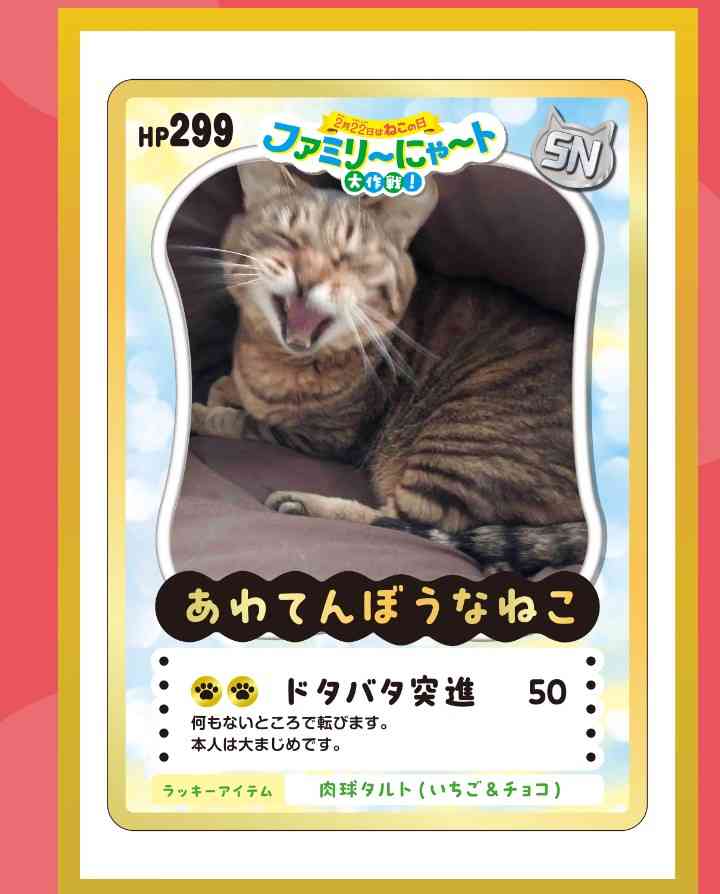 がるちゃん猫カフェ119号店開店しました♪(初めての方も大歓迎♪)