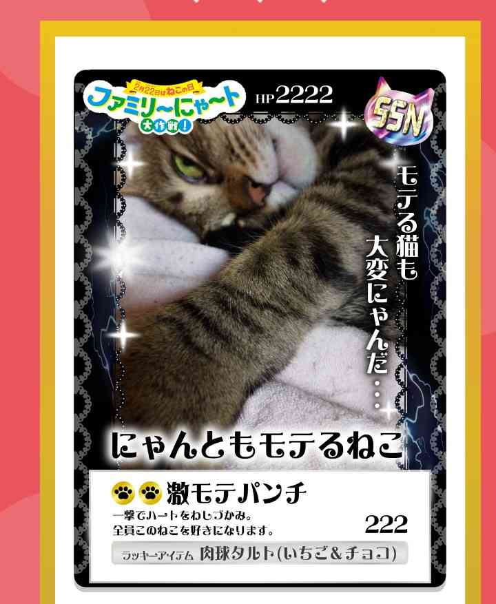 がるちゃん猫カフェ119号店開店しました♪(初めての方も大歓迎♪)