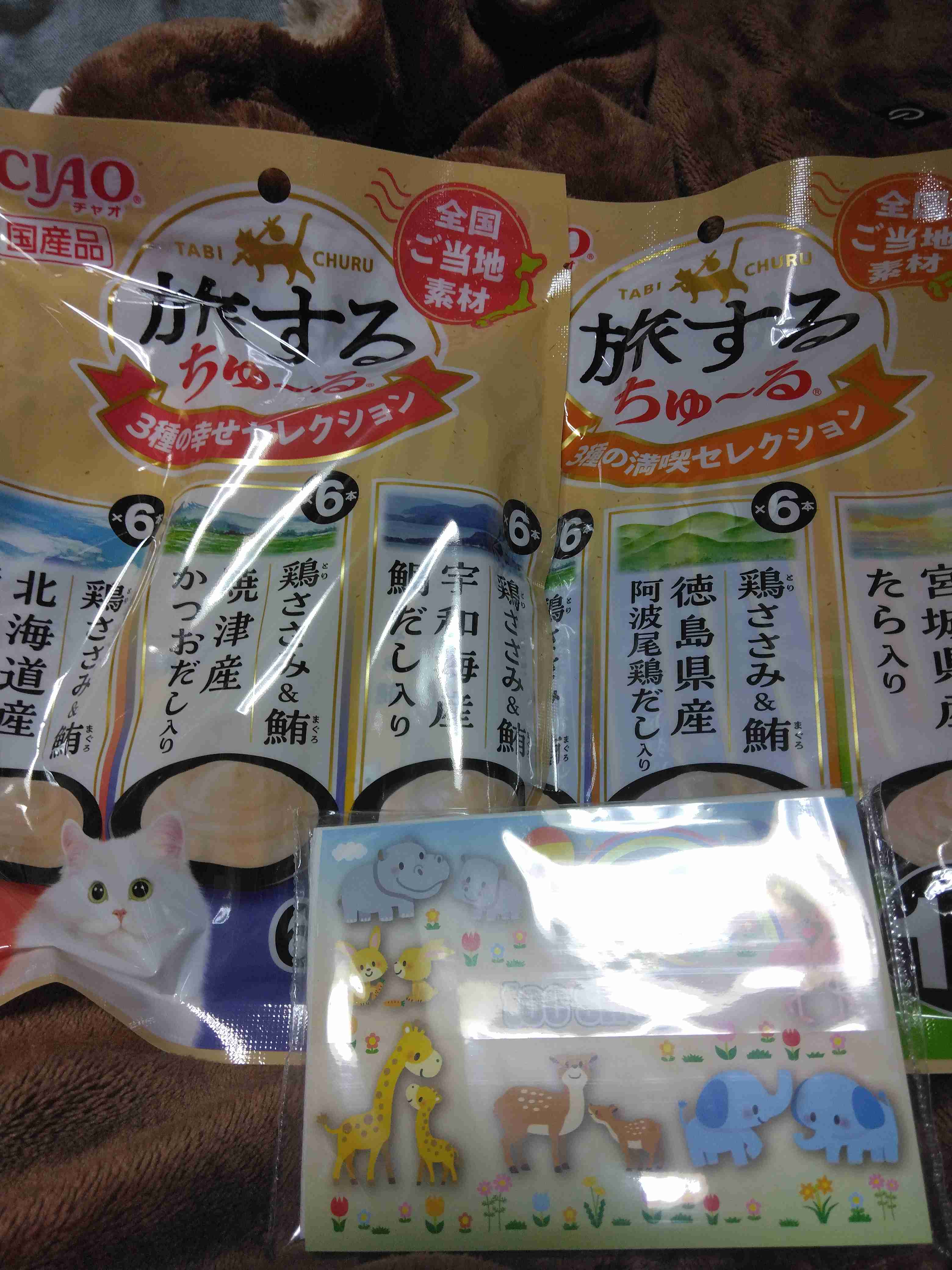 がるちゃん猫カフェ119号店開店しました♪(初めての方も大歓迎♪)