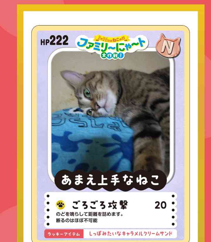 がるちゃん猫カフェ119号店開店しました♪(初めての方も大歓迎♪)