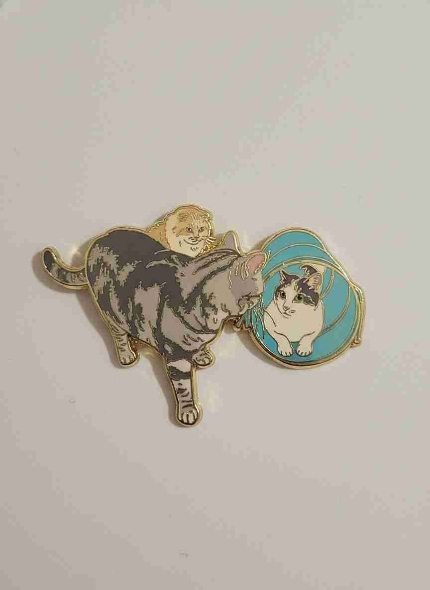 がるちゃん猫カフェ119号店開店しました♪(初めての方も大歓迎♪)