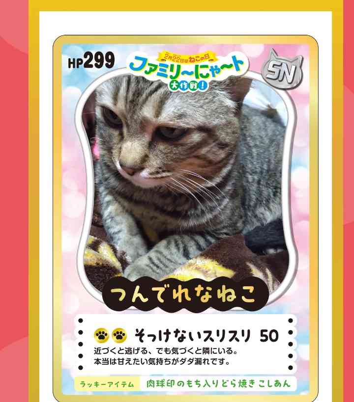 がるちゃん猫カフェ119号店開店しました♪(初めての方も大歓迎♪)