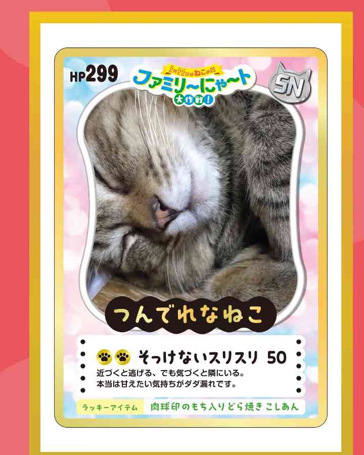 がるちゃん猫カフェ119号店開店しました♪(初めての方も大歓迎♪)