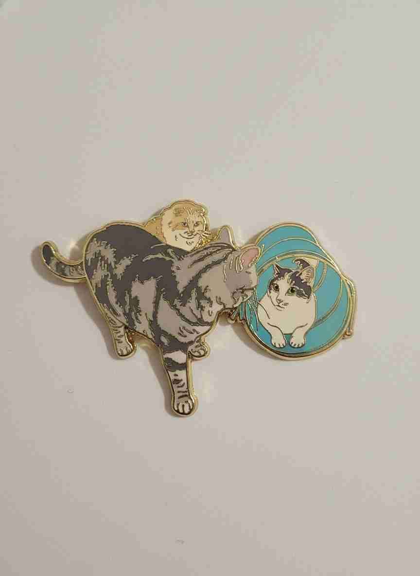 がるちゃん猫カフェ119号店開店しました♪(初めての方も大歓迎♪)