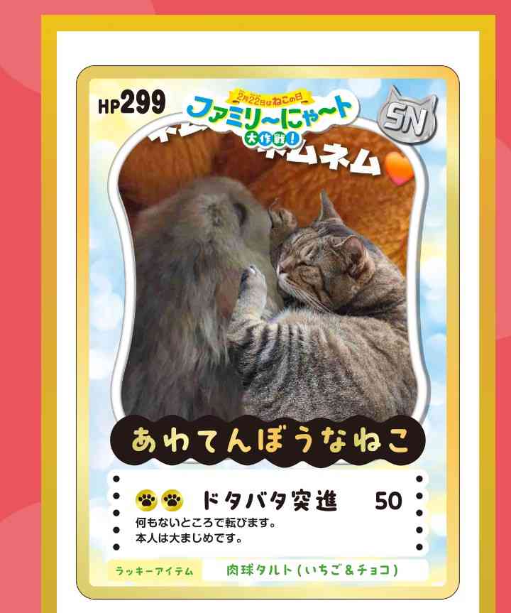 がるちゃん猫カフェ119号店開店しました♪(初めての方も大歓迎♪)