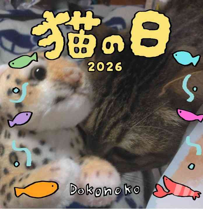 がるちゃん猫カフェ119号店開店しました♪(初めての方も大歓迎♪)