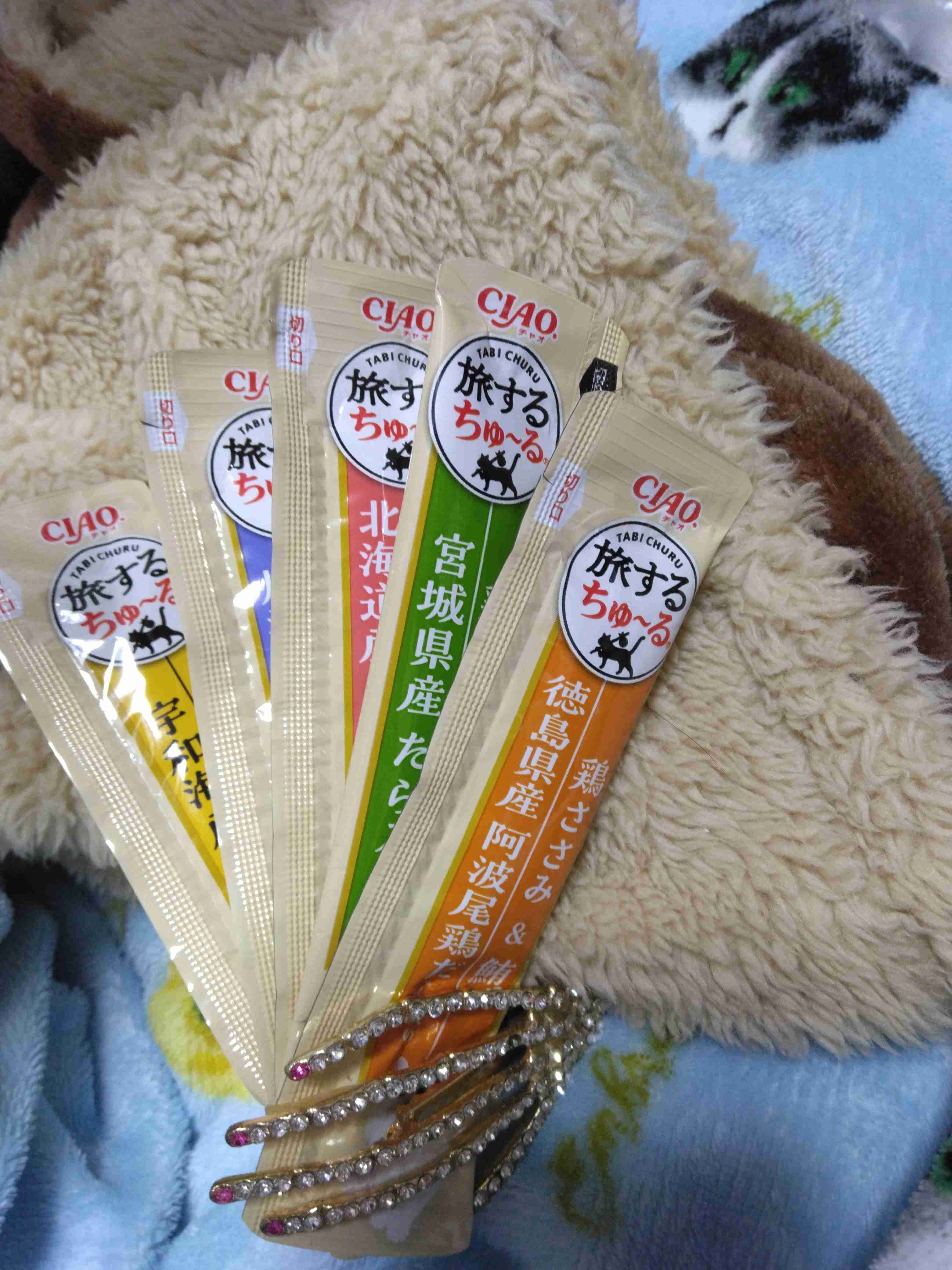 がるちゃん猫カフェ119号店開店しました♪(初めての方も大歓迎♪)