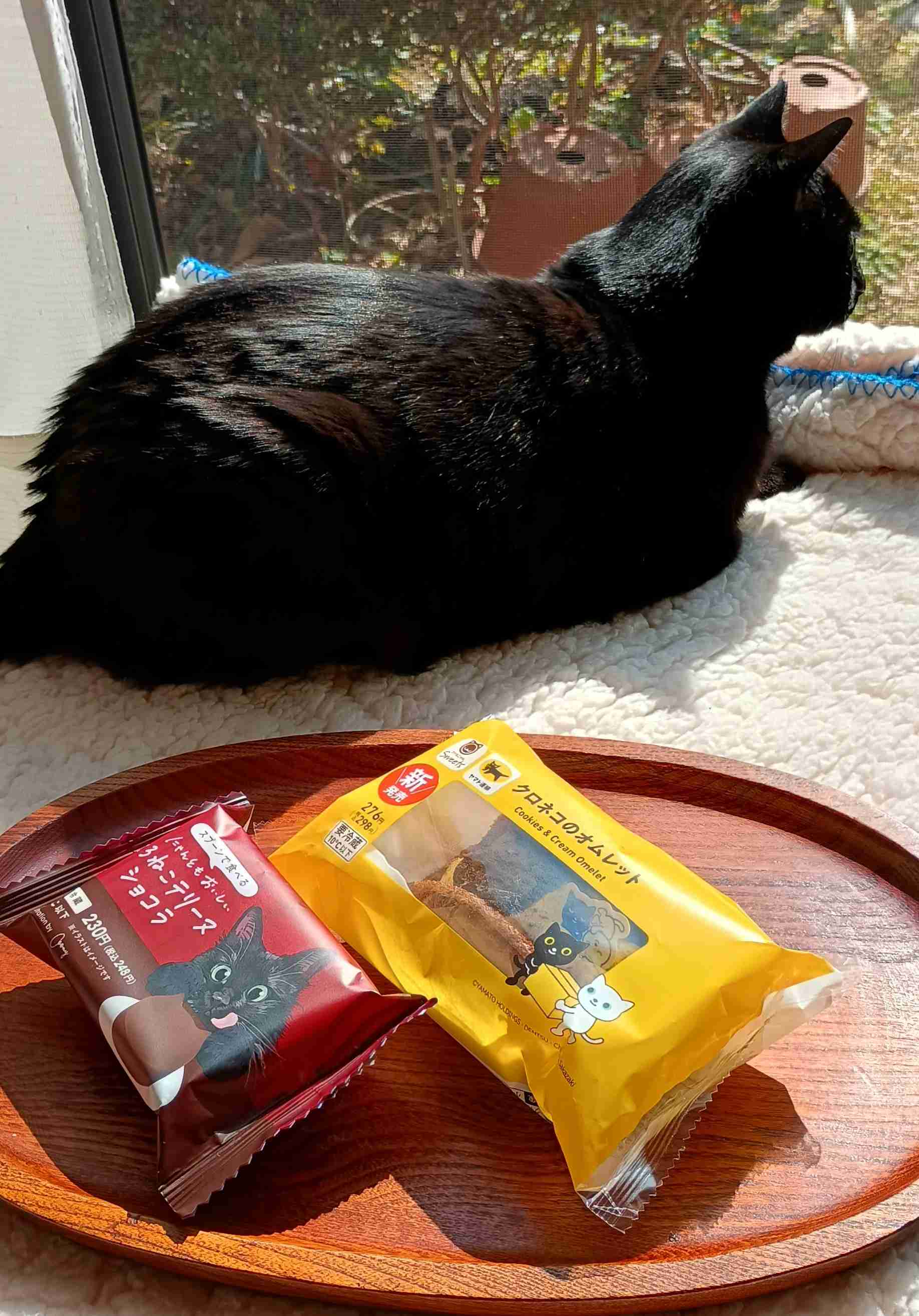 がるちゃん猫カフェ119号店開店しました♪(初めての方も大歓迎♪)