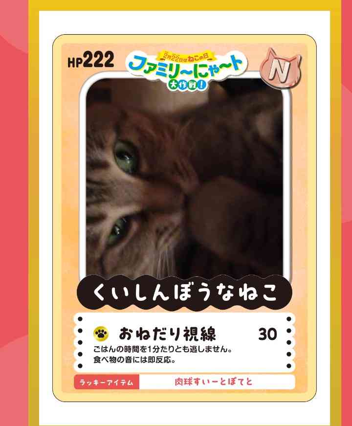 がるちゃん猫カフェ119号店開店しました♪(初めての方も大歓迎♪)