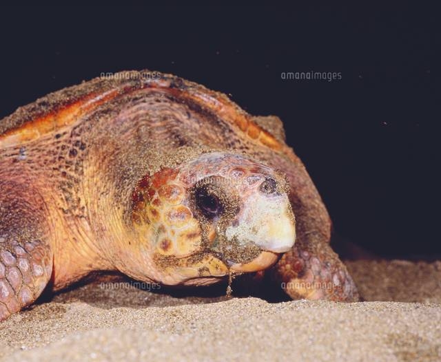 産後涙が突然出る