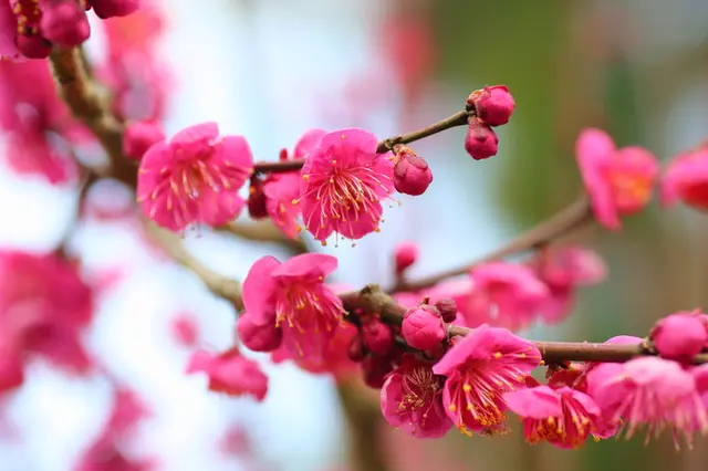 日々の暮らしの中で、美しさに感動した瞬間