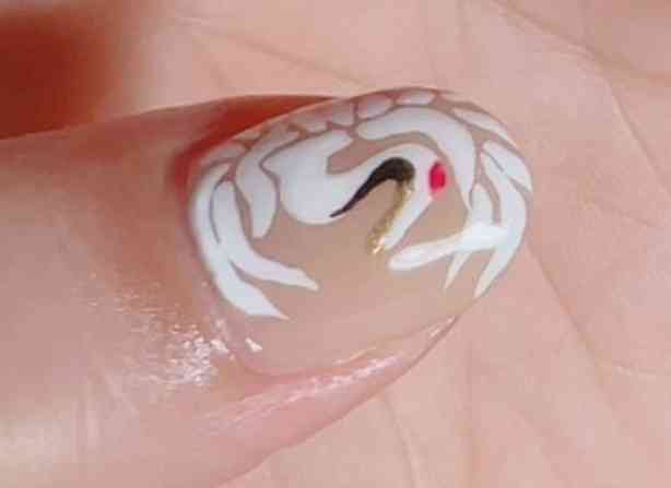 何色のネイル💅しますか？