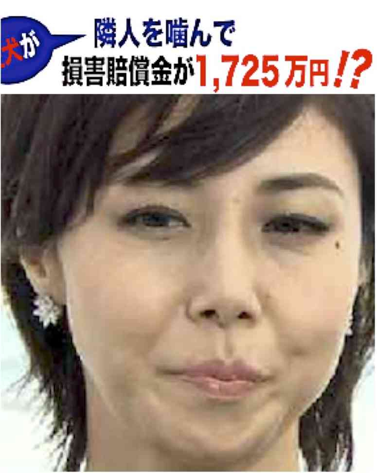 テレビ業界にお願いしたい事