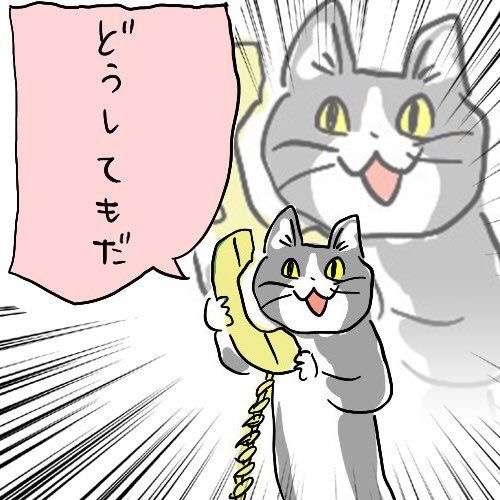 彼氏が兄弟と毎日通話している