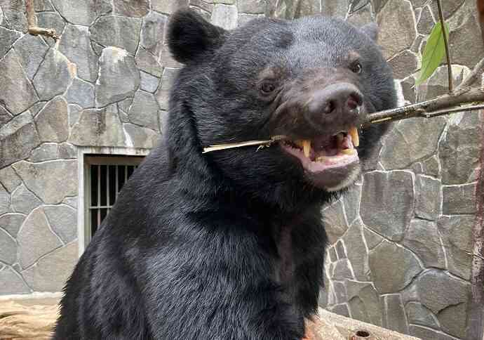 【日帰り】東北のおすすめ【一人】