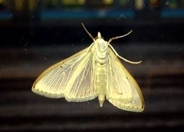 https://up.gc-img.net/post_img/2026/02/yyWxJmFy54uZK57_tqXeK_16055.jpeg
