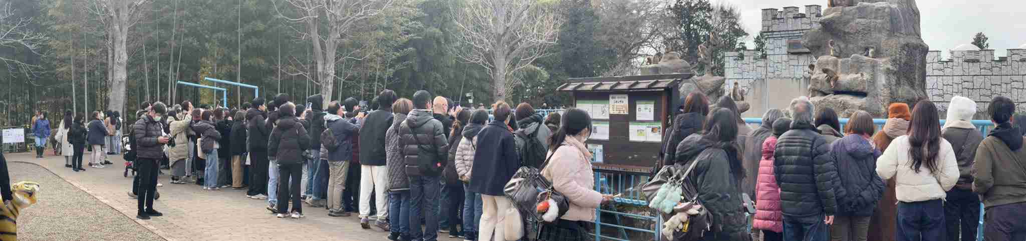 話題のニホンザル「パンチ」にいじめ? 動画拡散で市川動植物園が〝異例〟の声明 「攻撃ではなくコミュニケーション」