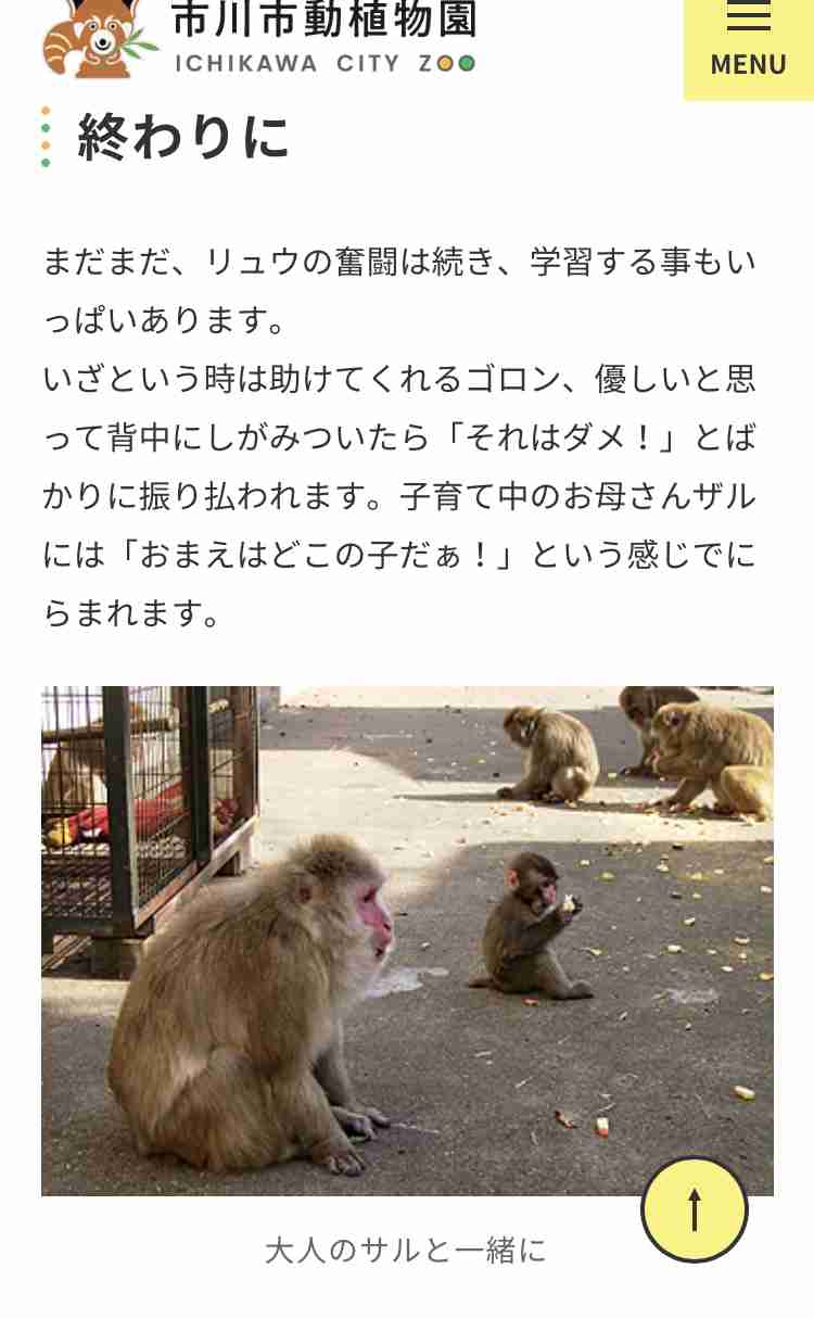 話題のニホンザル「パンチ」にいじめ? 動画拡散で市川動植物園が〝異例〟の声明 「攻撃ではなくコミュニケーション」
