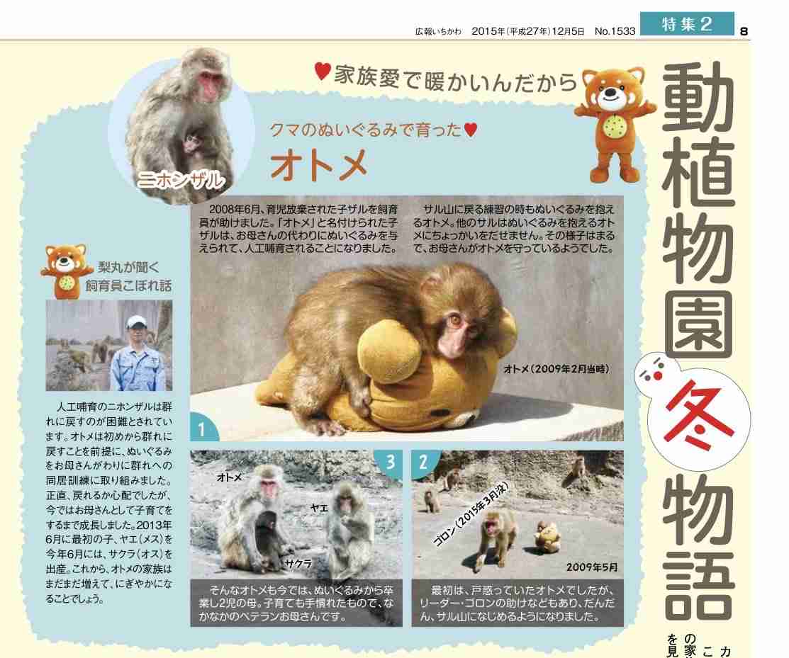 話題のニホンザル「パンチ」にいじめ? 動画拡散で市川動植物園が〝異例〟の声明 「攻撃ではなくコミュニケーション」