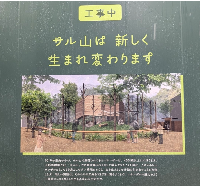 話題のニホンザル「パンチ」にいじめ? 動画拡散で市川動植物園が〝異例〟の声明 「攻撃ではなくコミュニケーション」